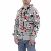 Herren Pullover von Egret - grey