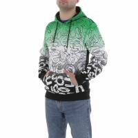 Herren Pullover von Egret - green