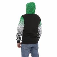 Herren Pullover von Egret - green