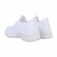 Damen Low-Sneakers - white