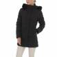 Damen Winterjacke von GLO STORY Gr. L/40 - black